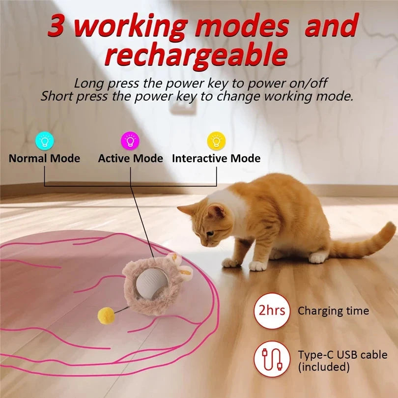 Fast Rolling Cat Toy Set