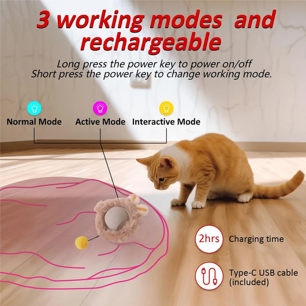 Fast Rolling Cat Toy Set