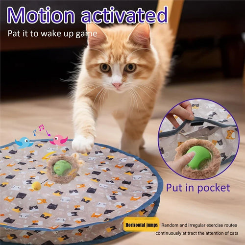 Fast Rolling Cat Toy Set
